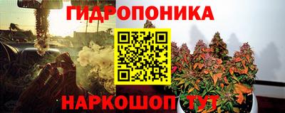 крисы Гусь-Хрустальный
