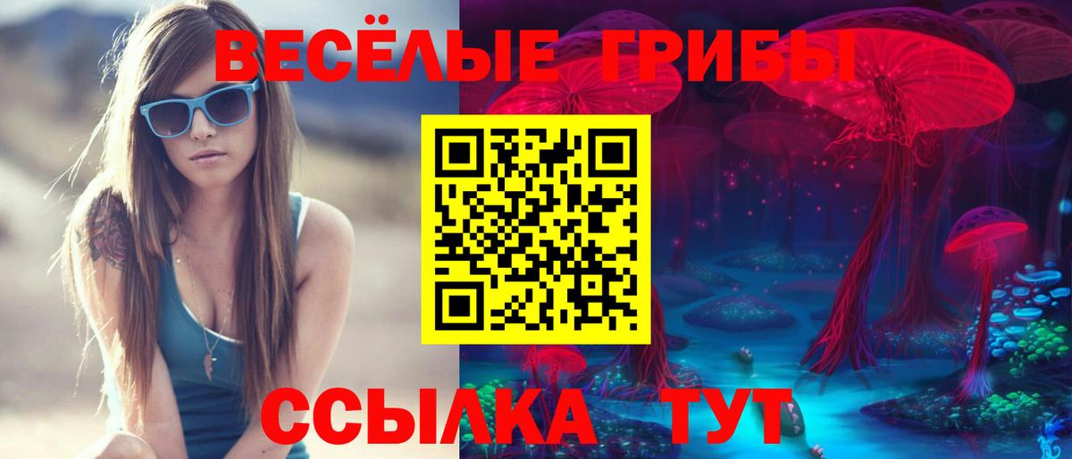 Галлюциногенные грибы Cubensis Мыски
